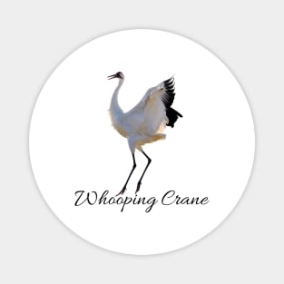 WHOOPING CRANE Magnet